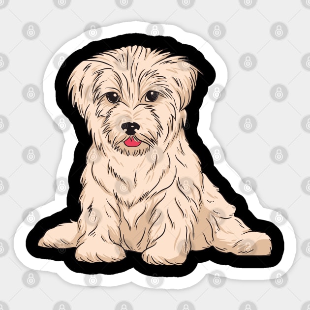 Havanese Dog Breed Sticker by Printroof